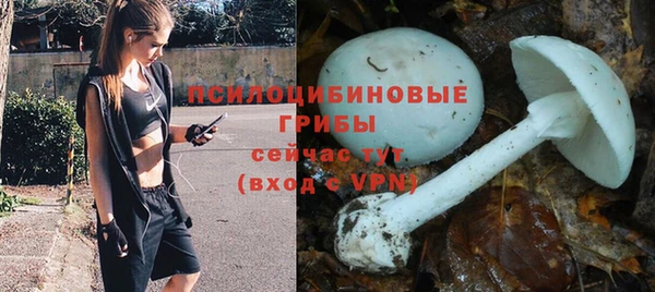 каннабис Арсеньев