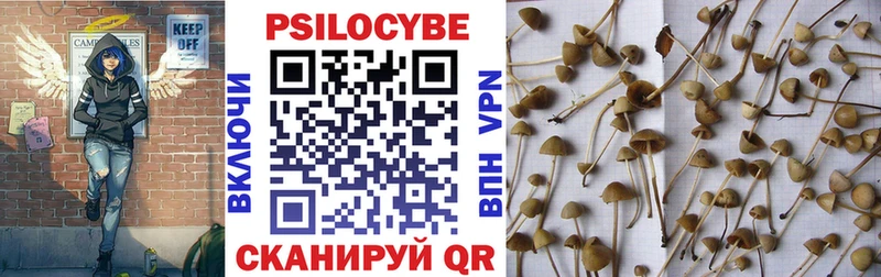 Галлюциногенные грибы мицелий  Купить где  Енисейск 
